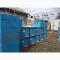 Продам 12 ульев под рамку 300