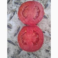 Продам томат сливку в качестве