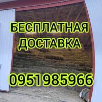 Сено люцерны в тюках. Бесплатная доставка по Украине. Объёмы