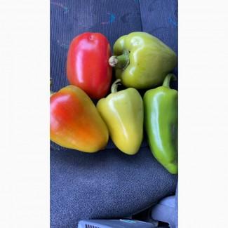 Перец полет