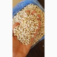 Фасоль половинки, половинка фасоли, фасоль мавка
