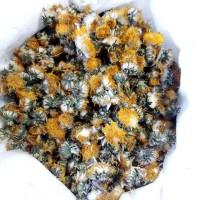 Квіти кульбаби сушені