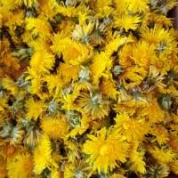 Квіти кульбаби сушені