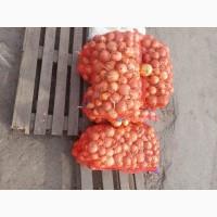 Продам лук Киев