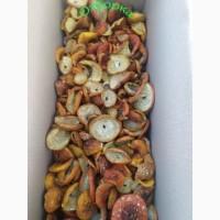 Мухомори опт/роздріб