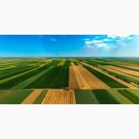 Продаж: Земельний масив 1000 га. Волинська область. For sale: Land plot 1000 ha. Volyn