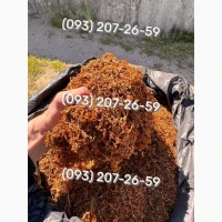 Якісний тютюн, гільзи, люльки Гавана, Дюбек, Парламент, Берлі, Вірджинія, Кемел