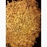 Парламент, собрание, кент, вирджиния