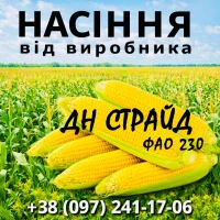 Насіння кукурудзи ДН Страйд ФАО 230 / від виробника Agro_Exprt