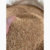 Продам пшеничку кормову