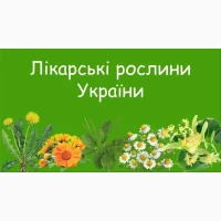Лікарські Рослини