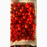 Продам товарний помідор
