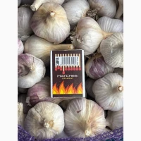 Продам часник, однозубку