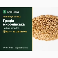 Пшениця 03имв Грвція мир0ні8ськв: сертифік08вне нвсіння (МІП ім. Ремеслв)