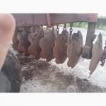 Продам БДТ Середину