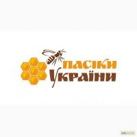 Куплю прополіс