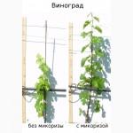 АМ-грибы, микориза, удобрение, 11, 3 г (1 га)