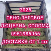 Хозяйство предлагает сено луговое, солому, люцерну, солому с доставкой по Украине
