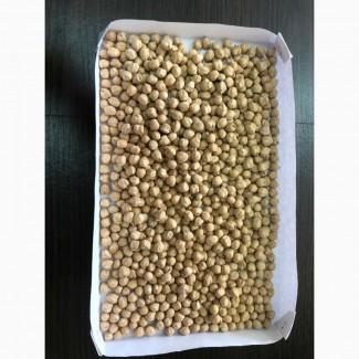 Нут сорт Иордан Заховит Буджак Бар(посевной материал)