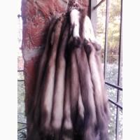 Предлагаем шкурку куницы