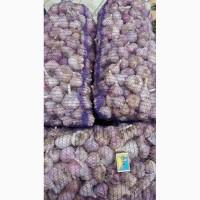 Супер ціна !Супер якість ! Продам часник