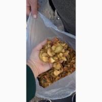 Сушене яблуко, сушка сухофрукти