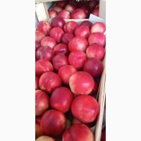 Продам нектарин