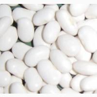 Закупаем фасоль разных сортов