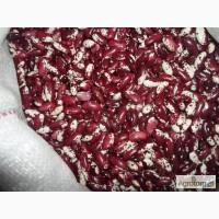 Закупаем фасоль разных сортов