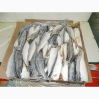 Оптовые продажи мяса/рыбы в ДНР/ЛНР