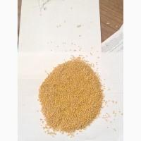 Продам гірчицю білу хорошої якості 21 тон