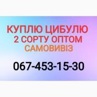 Куплю цибулю 2 го сорту (лук)
