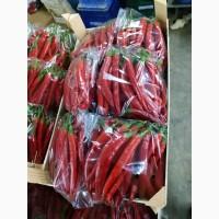 Перец chili red