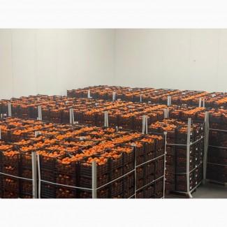 Продам Мандарин Клементин зі складу в Ужгороді