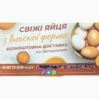 Продам яйцо куриное с собственной фермы, коричневого цвета, кВры породы Ломан Браун
