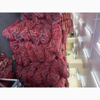 Продам моркву