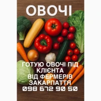 Продам овочі