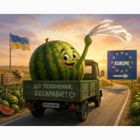 Кавун експорт