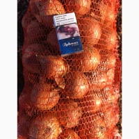 Продам лук Титан