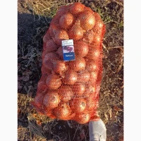Продам лук Титан