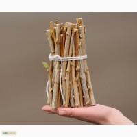 Продам черенки смородины срт Гоферт, Тибен, Бен Тирран