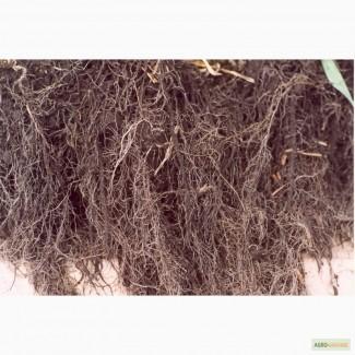 АМ-грибы, микориза, удобрение, 226, 8 г (20 га)