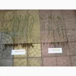 АМ-грибы, микориза, удобрение, 226, 8 г (20 га)