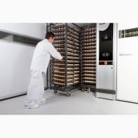 Инкубационные яйца Венгрия Польша Чехия (маркированные) КООБ 500 и другие породы