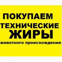 Закупаем животные технические жиры