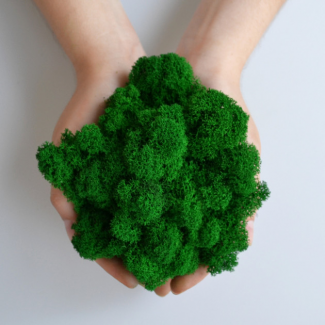 Стабилизированный ягель на вес, темный зеленый. Свежесть до 10 лет