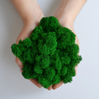 Стабилизированный ягель на вес, темный зеленый. Свежесть до 10 лет