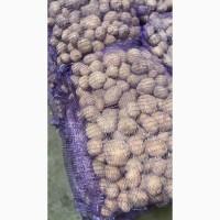 Продам картофель! О Б Н О В Л Е Н О