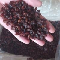 Курага, чернослив, изюм из Узбекистана оптом