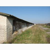 Продаж тваринницького комплексу